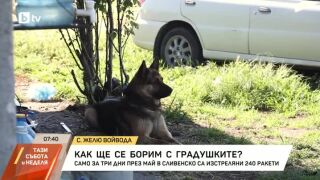 Снимка: Как ще се борим с градушките?