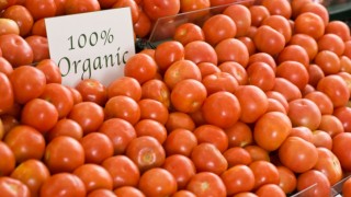 Най-много био храна идва от Италия