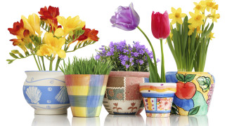 Цветни саксии - направи си сам