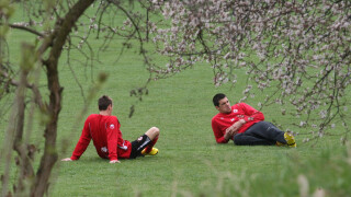 ЦСКА руши държавна собственост на Панчарево (ВИДЕО)