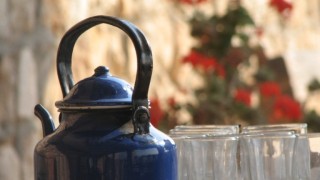 Природата в помощ на бъбреците