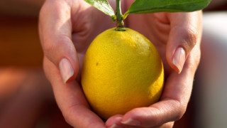 Лимонът като разкрасително средство