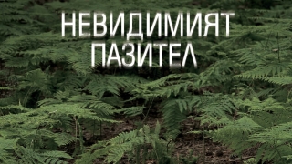 "Невидимият пазител" - какво се пази с убийства?