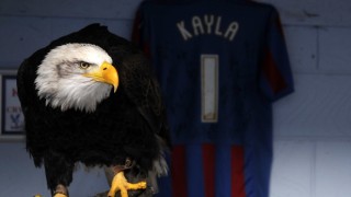 Английската полиция арестува мъж, опитал да удари орлицата Кайла (ВИДЕО)