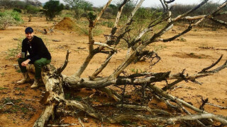 Григор Димитров се наслаждава на африканското си приключение (СНИМКИ)