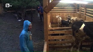 Обичайните заподозрени са будни и готови за работа