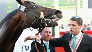 Майкъл Оуен се подготвя за кариера в конния спорт