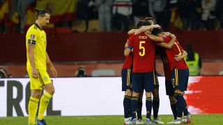 Наказват Ибрахимович за баража за световното в Катар (ВИДЕО)