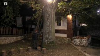 Кирил: Успях да се отърся от негативизма си след разговора с дъба