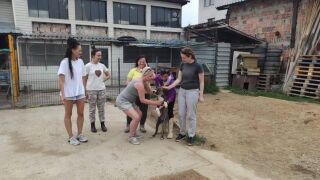 Хората с добри сърца - бизнесът в подкрепа на бездомните животни