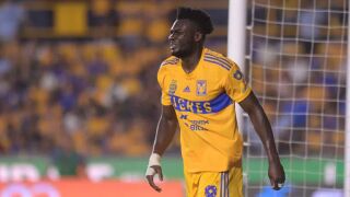 По схемата с Недялков и Десподов: 