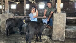 Защо младите хора предпочитат живот на село - вижте във „Вкусът на България“ (ВИДЕО)