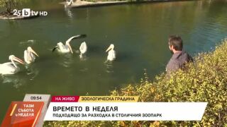 Снимка: Времето в неделя - подходящо за разходка в столичния зоопарк