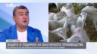 Снимка: Защита и подкрепа на българското производство