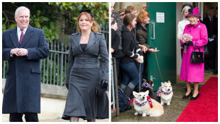 Кой ще се грижи за кучетата на кралица Елизабет Втора от сега нататък? (СНИМКИ)