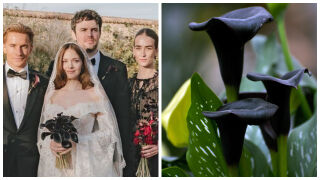 Дъщерята на Антонио Бандерас каза „да“ с букет от черни калии - ето какво символизират