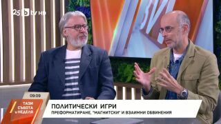 Снимка: Политически игри