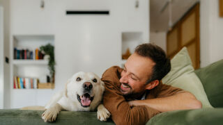 Нов закон в Испания - животните вече официално са част от семейството, а не вещ! (ВИДЕО)