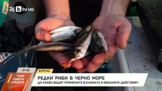 Снимка: Редки риби в Черно море