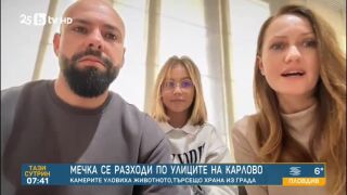 Снимка: „Тя беше буквално на прага ни“: Мечка обикаля вилната зона на Карлово 