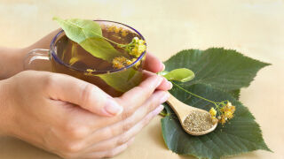 Чай от липа - кога е добре да се пие?