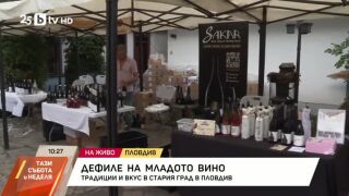Снимка: Дефиле на младото вино