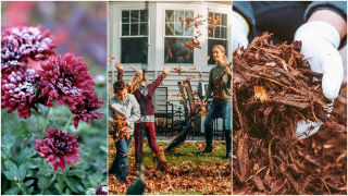 Студът идва: Как да спасим външните растения от сланата? (СНИМКИ) 