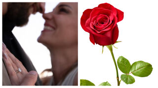 Участниците от „Ергенът“, които се сгодиха - от среща в риалити шоу до вечността