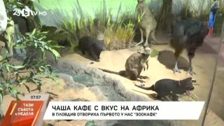 Снимка: В Пловдив отвориха първото у нас зоокафе