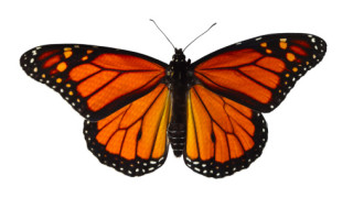 Една книга за новото начало и една - за миналото