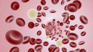 Лечение със стволови клетки