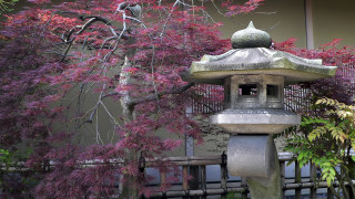 Потопи се в съвършенството на Изтока