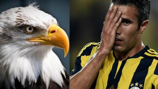 Птица опита да спре завръщането на Ван Перси на 