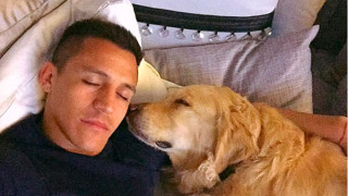 Футболистите и странните имена на техните кучета (ГАЛЕРИЯ)