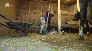 Сутрините във фермата винаги започват с две неща - прекрасна гледка и миризлив обор
