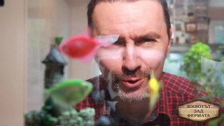 Животът зад Фермата. Епизод 19: Това с носиите е магия - всички се разкрасяват