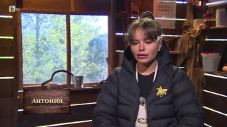 Всички ще работят до откат