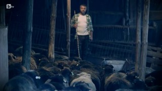 Андрей е в шок от гледката, която заварва в собствената си ферма
