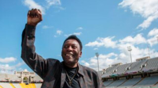 Любимец на Сектор 