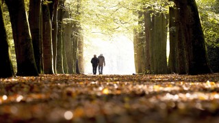 Снимка: Прогнозата на проф. Георги Рачев: Топъл ноември, но с облаци и валежи