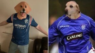 Кучето на Ловенкрандс - най-великият костюм за Хелоуин (ВИДЕО)