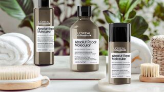 Възстановяването на увредената коса е вече възможно с L'Oréal Professionnel [Absolut Repair Molecular]