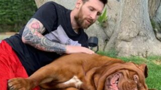 Меси е оставил кучето си в Барселона (ВИДЕО)