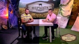 Животът зад Фермата, епизод 16: Защо изразът 
