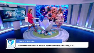 Снимка Можем ли да сведем до минимум риска от рак на гърдата?    