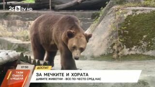 Снимка: За мечките и хората