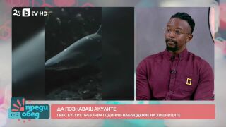 Гибс Кугуру, укротителят на акули: Преследват ме, но и ми позволяват да ги галя (ВИДЕО)