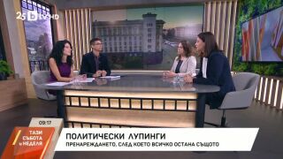 Снимка: Политически лупинги