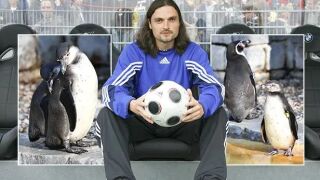 Новият шеф на Димитър Митов задигнал пингвин от резерват