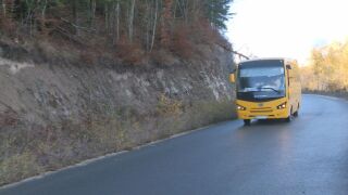 Снимка: "Това никога не се е случвало": Мече изскочи пред училищен автобус във Велинградско (ВИДЕО)